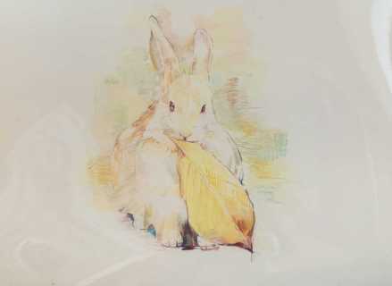 rabbit