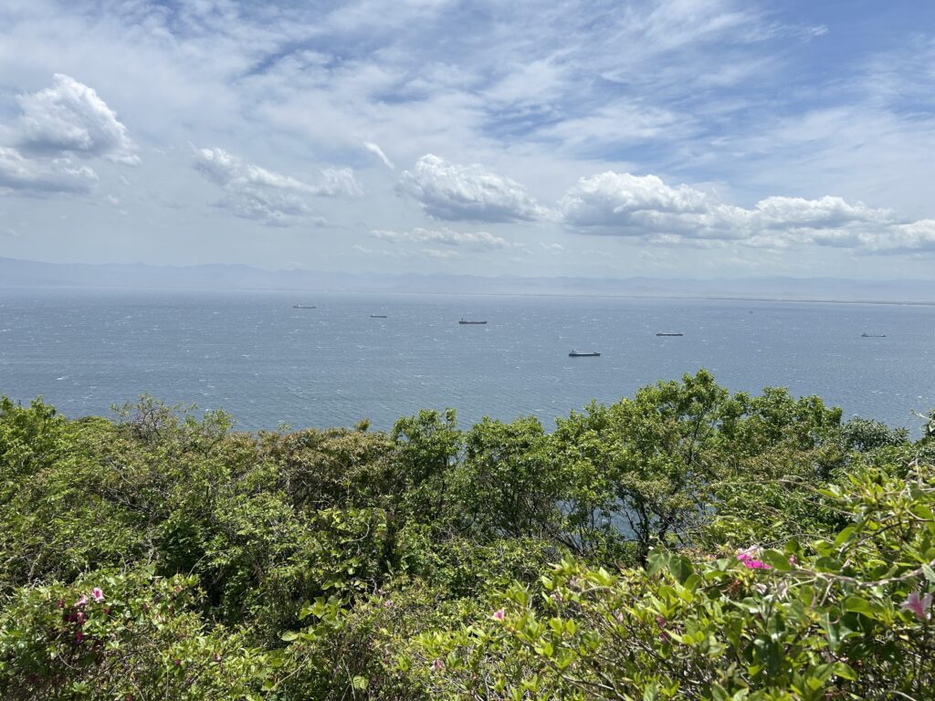 展望台から見える風景
